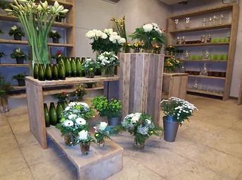 2000 - Produktpräsentation