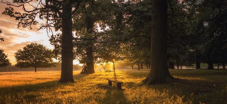 idyllische Landschaft